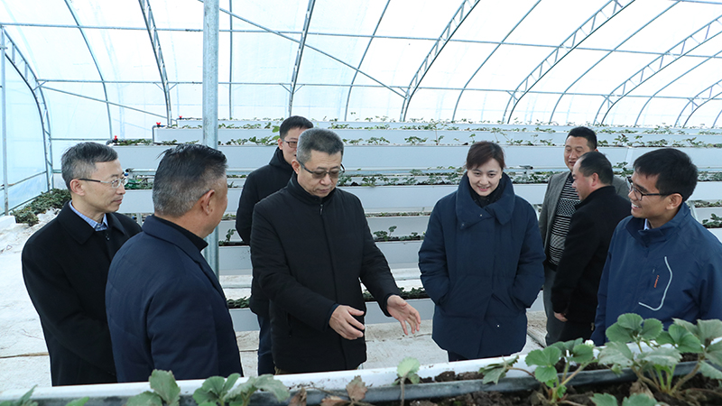 拉斯维加斯9888(中国游)官方网站