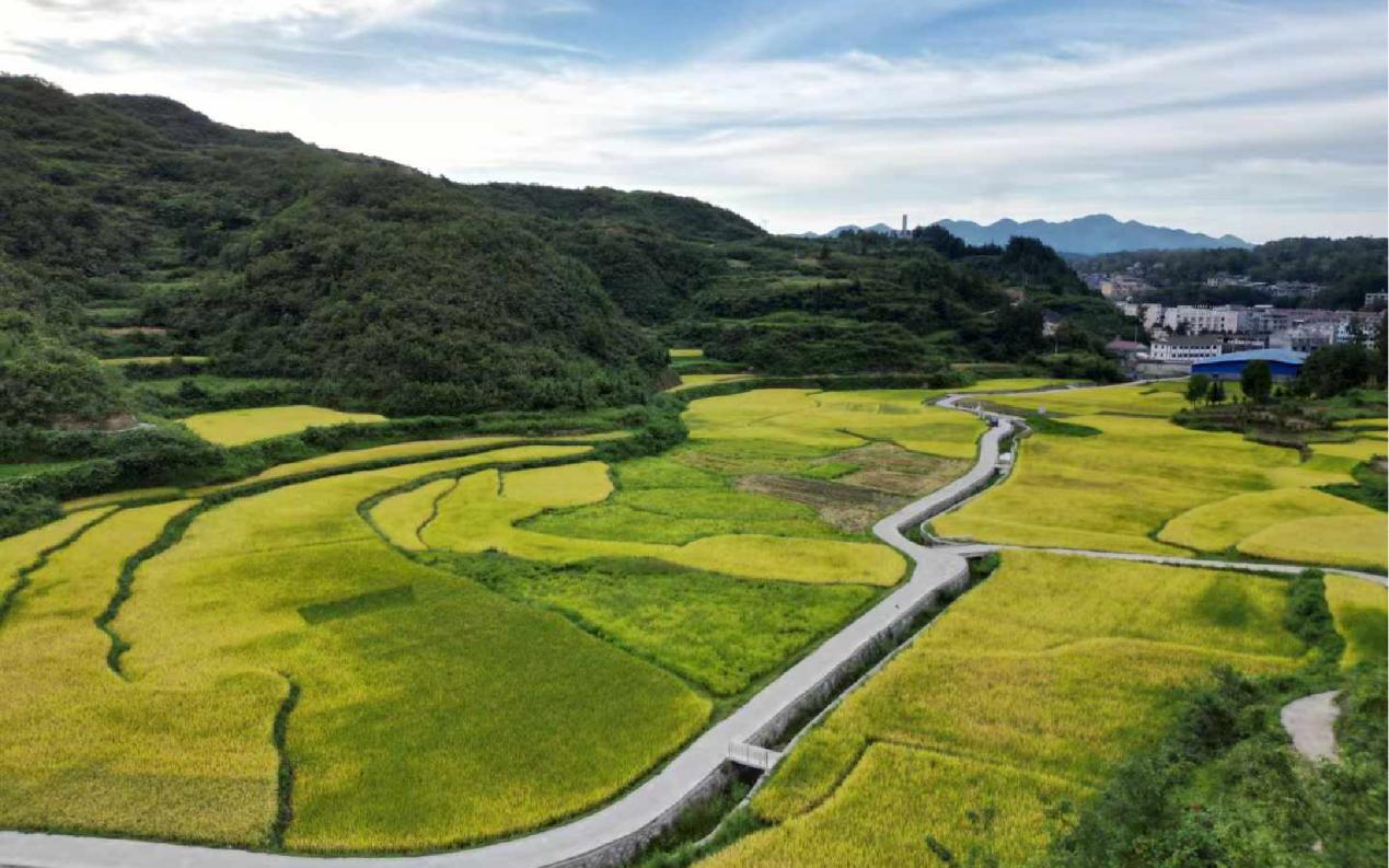 拉斯维加斯9888(中国游)官方网站